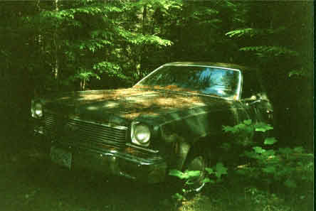 dream car